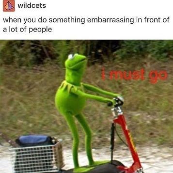 src/1560145079086.png: 357x357, 182 kb