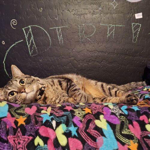 src/1757180548248.jpg: 1528x1528, 761 kb