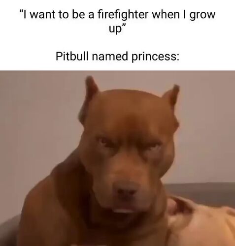 src/1761540391686.jpg: 640x670, 25 kb