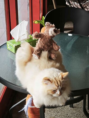 src/1764141029610.jpg: 2736x3648, 659 kb